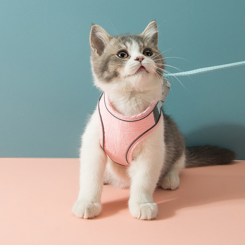 Adjustable Cat Harness Set