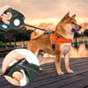 1 Retractable Dog Leash